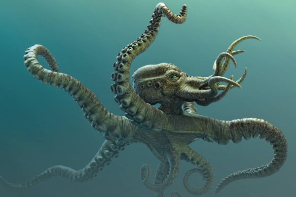 Зеркала на кракен kraken014 com