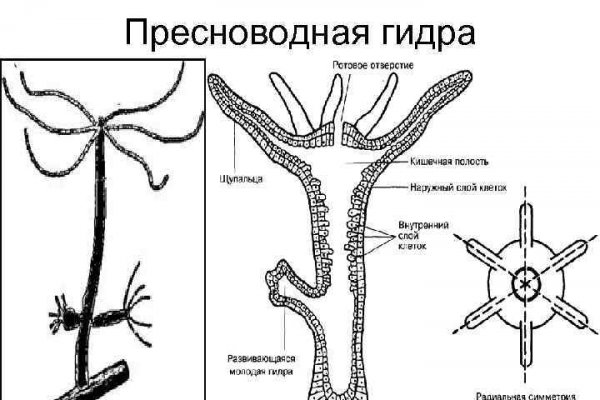 Kraken актуальные ссылки официальный сайт